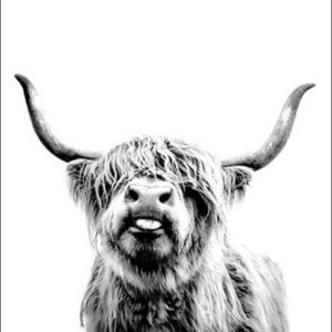 Meet your Posher, Carli